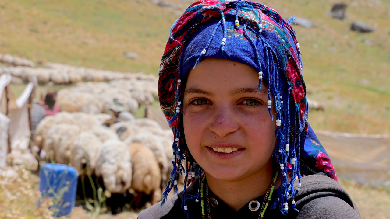 Foto - Yaylanın sessiz kahramanları! Cennet Cehennem Vadisi’nde göçer çocukların zorlu yazı