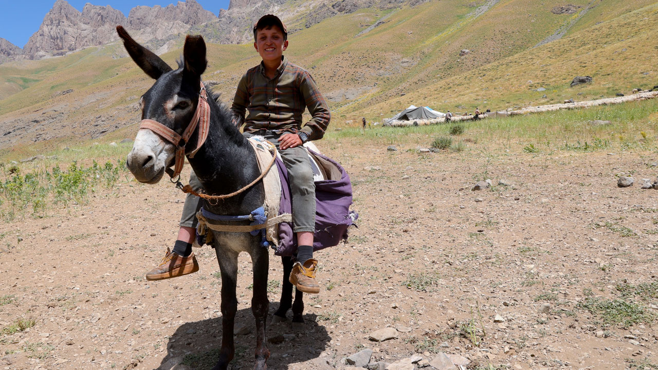 Foto - Yaylanın sessiz kahramanları! Cennet Cehennem Vadisi’nde göçer çocukların zorlu yazı