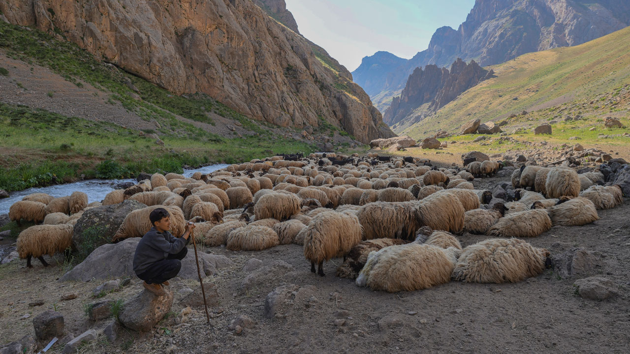 Yaylanın sessiz kahramanları! Cennet Cehennem Vadisi’nde göçer çocukların zorlu yazı