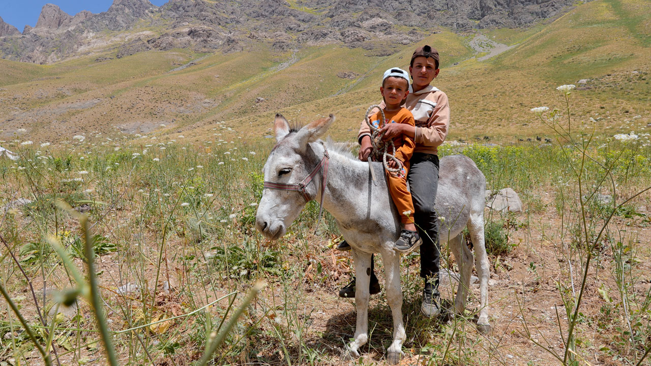 Foto - Yaylanın sessiz kahramanları! Cennet Cehennem Vadisi’nde göçer çocukların zorlu yazı