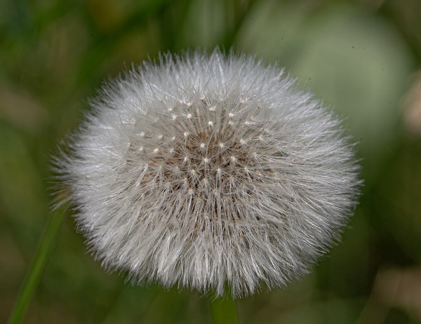 Foto - Yaz Ankara’da başka güzel