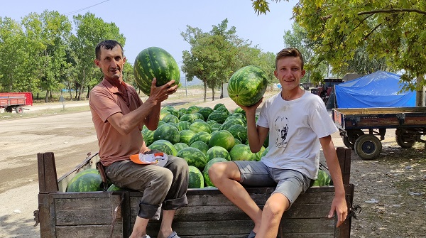 Foto - Yaz aylarının olmazsa olmazı! İşte, doğru karpuz seçmenin yolları
