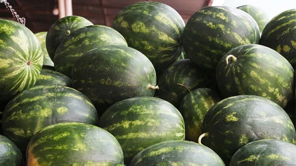 Foto - Yaz aylarının olmazsa olmazı! İşte, doğru karpuz seçmenin yolları