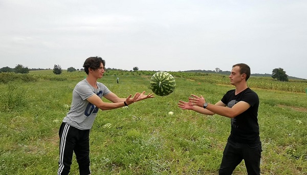 Foto - Yaz aylarının olmazsa olmazı! İşte, doğru karpuz seçmenin yolları