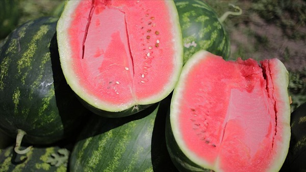 Foto - Yaz aylarının olmazsa olmazı! İşte, doğru karpuz seçmenin yolları