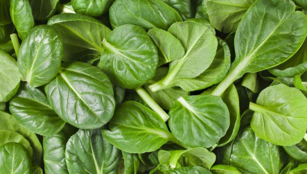 Foto - Yaz aylarında nasıl sağlıklı beslenilir?