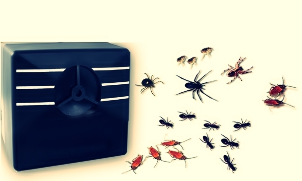 Foto - Yaz aylarında parfüm sıkmayın! Çünkü...