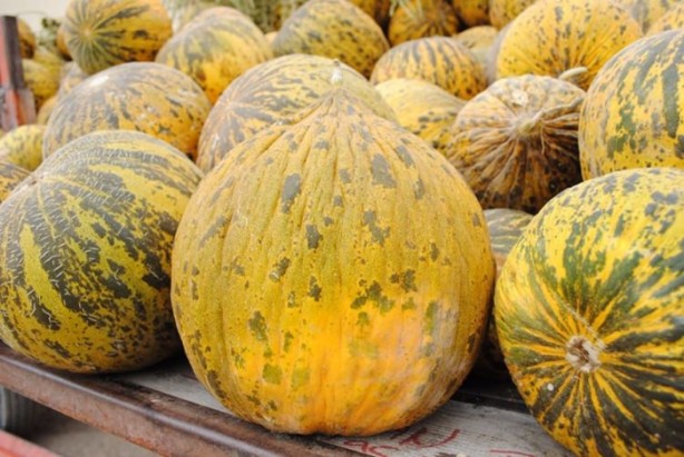 Foto - Yaz aylarının vazgeçilmez 10 meyvesi