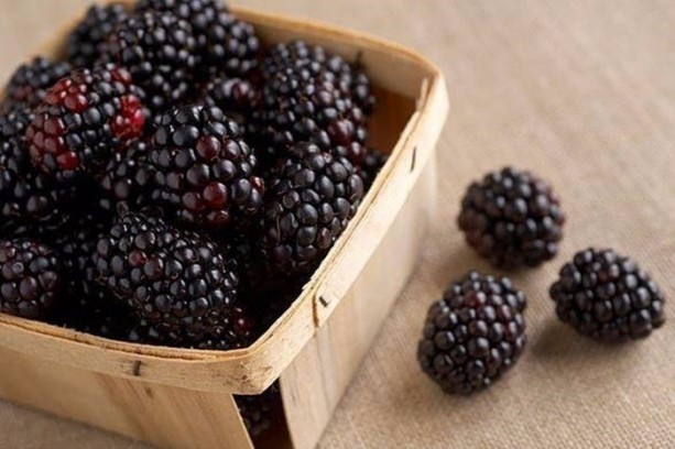 Foto - Yaz aylarının vazgeçilmez 10 meyvesi