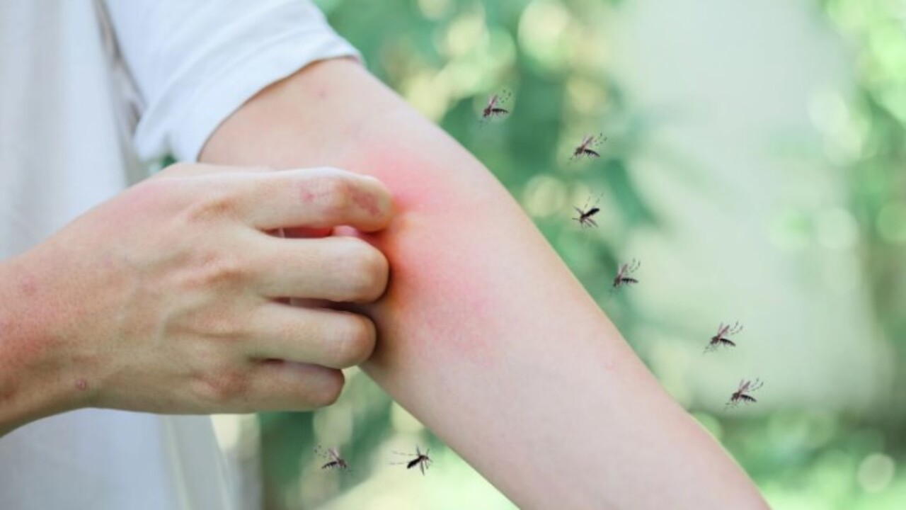 Foto - Yaz boyu rahat rahat uyuyacaksınız! Sivrisineklerden kurtulmanın basit yolu açıklandı