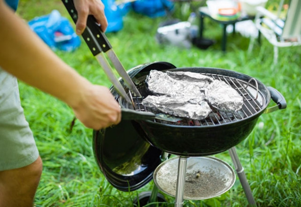 Foto - Yaz geliyor! Evinizi karınca sarsın istemiyorsanız...
