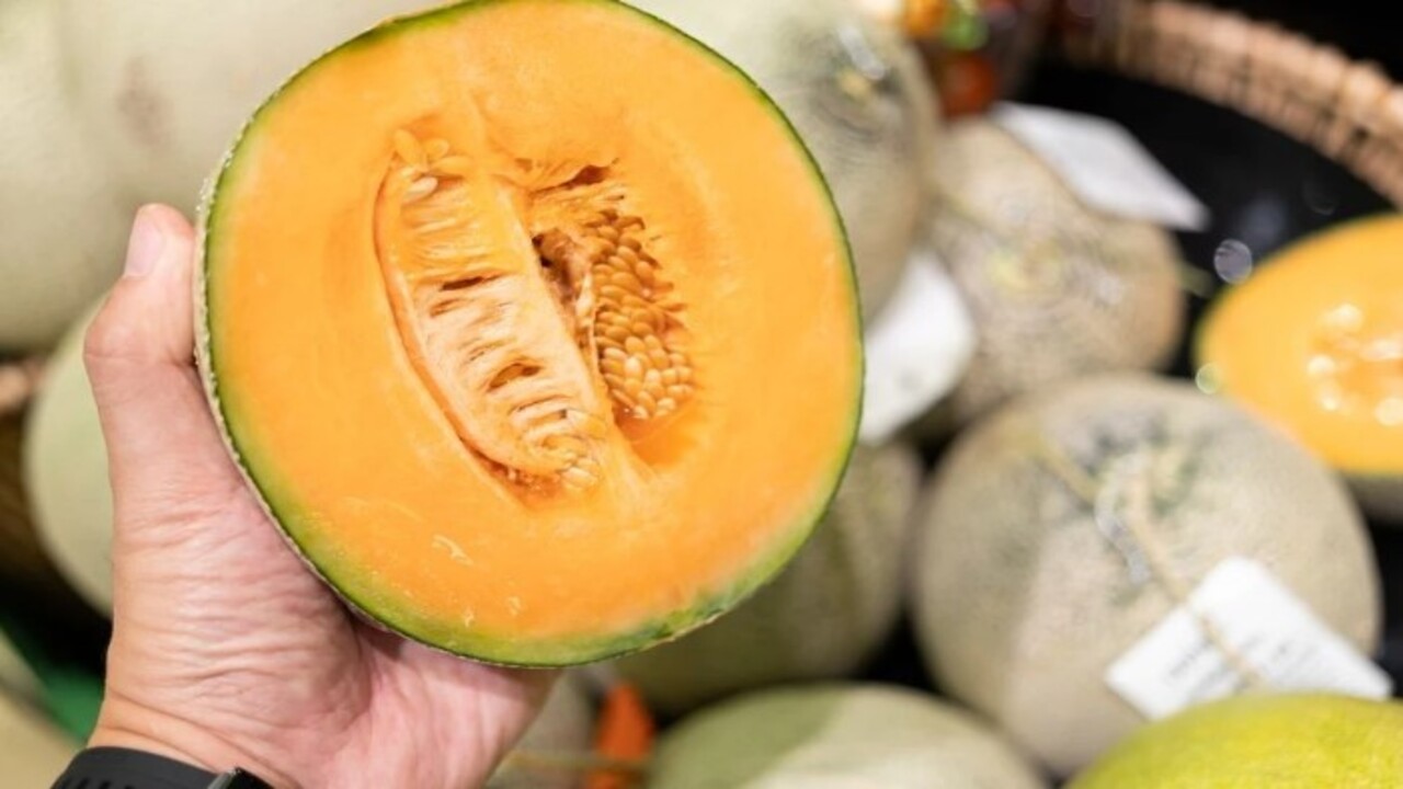 Foto - Yaz gelmeden öğrenmek gerekiyor! Kavunu keleğinden ayırmanın kolay yolu