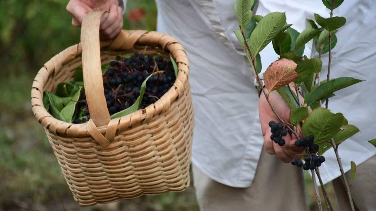 Foto - Yaz mevsimini kilo alarak tamamlamayın! Bu meyveler göründüğü kadar masum değil