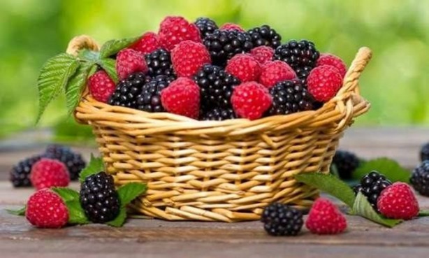 Foto - Yaz meyvelerindeki gizli tehlike!