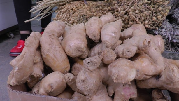 Foto - Yaz nezlesine birebir! Aman eksik etmeyin