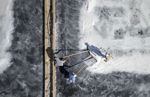 Foto - Yaz sıcağında zorlu tuz hasadı