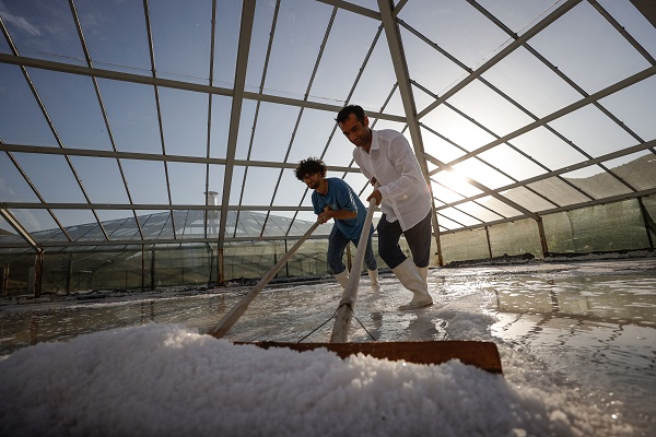 Foto - Yaz sıcağında zorlu tuz hasadı