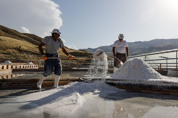 Foto - Yaz sıcağında zorlu tuz hasadı