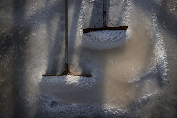 Foto - Yaz sıcağında zorlu tuz hasadı