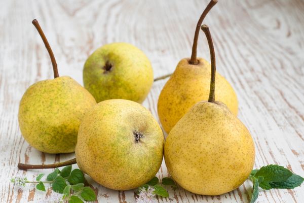 Foto - Yaza incecik girmek isteyenler: Yağ yakan bu besinler destekliyor! İştah bıçak gibi kesildi! Herkes peşine düştü 