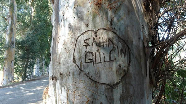 Foto - Yazı tahtasına çevirdiler! Muhtar çözümü böyle buldu