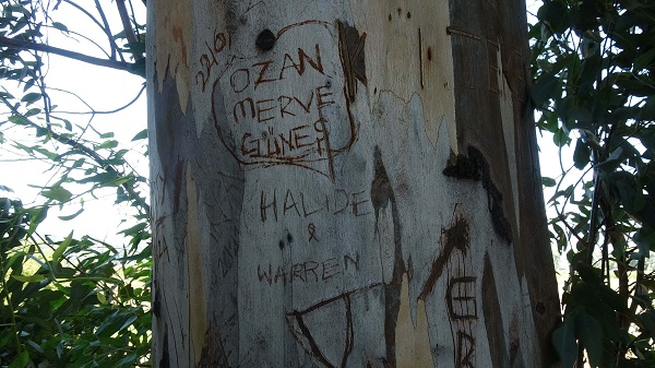 Foto - Yazı tahtasına çevirdiler! Muhtar çözümü böyle buldu