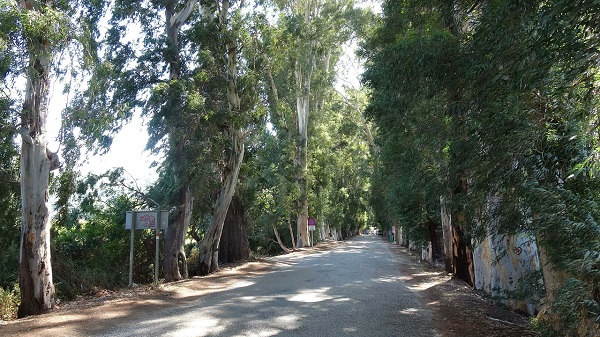 Yazı tahtasına çevirdiler! Muhtar çözümü böyle buldu