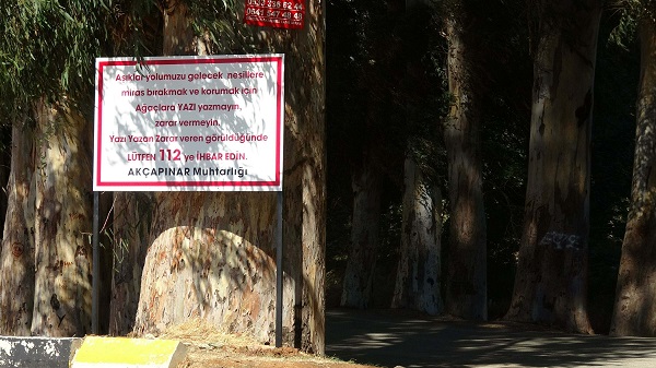 Foto - Yazı tahtasına çevirdiler! Muhtar çözümü böyle buldu