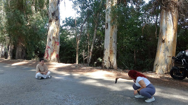 Foto - Yazı tahtasına çevirdiler! Muhtar çözümü böyle buldu