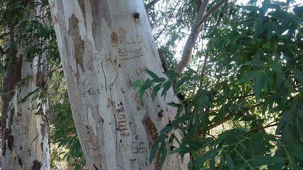 Foto - Yazı tahtasına çevirdiler! Muhtar çözümü böyle buldu