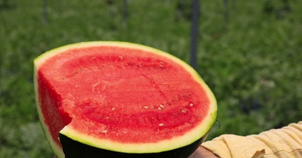Foto - Yazın bu meyveleri tüketenler dikkat! İlaç gibi geliyor