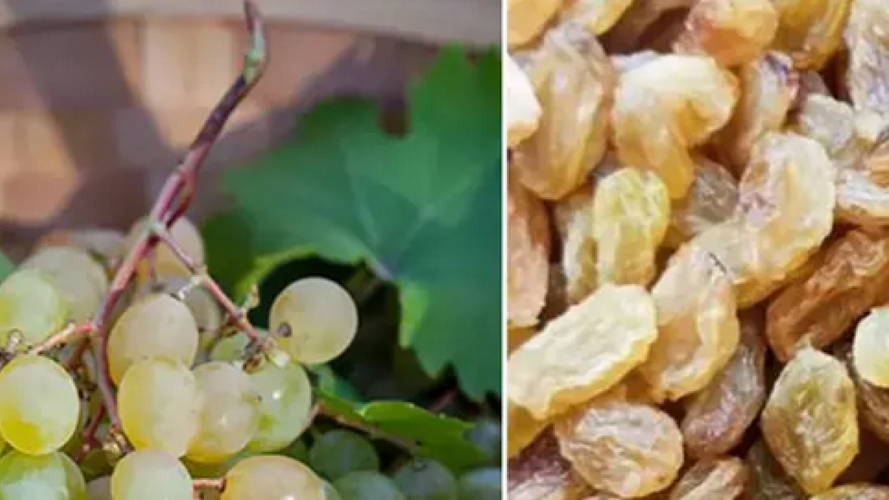 Yazın kurutup kışın tüketin! İster güneş ışığına bırakın ister fırına atın