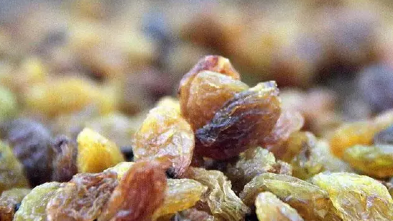 Foto - Yazın kurutup kışın tüketin! İster güneş ışığına bırakın ister fırına atın