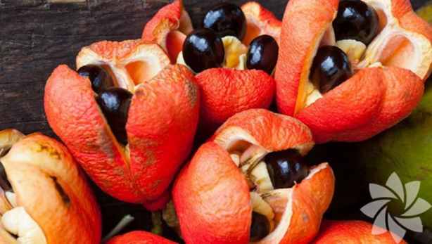 Foto - Yendiği anda vücuda zehrini saçan besinler! Dünyanın en tehlikeli yiyecekleri