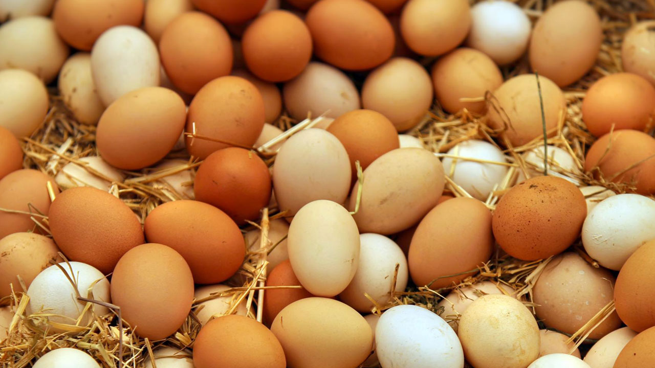 Foto - Yediğiniz yumurta gerçekten taze mi? İşte anlamanın en kolay yolu