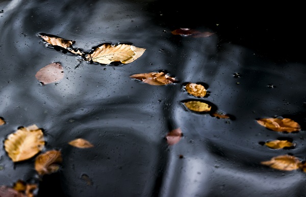 Foto - Yedigöller'den kartpostallık kareler