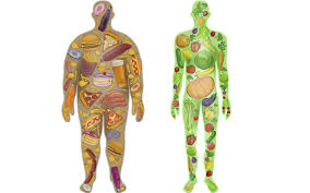 Foto - Yedikçe zayıflatan muhteşem ikili besinler! Prof. Dr. bir bir açıkladı