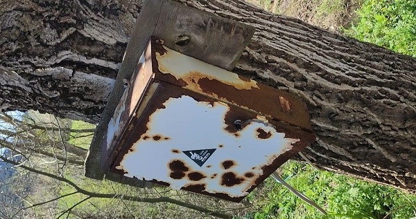 Foto - Yediuyur Bolu'da görüntülendi