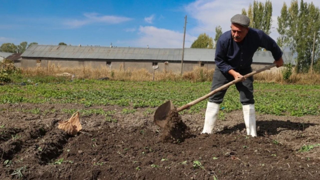 Foto - Yeğeninin tavsiyesine uydu: Mucize bitki sayesinde servet kazanıyor!