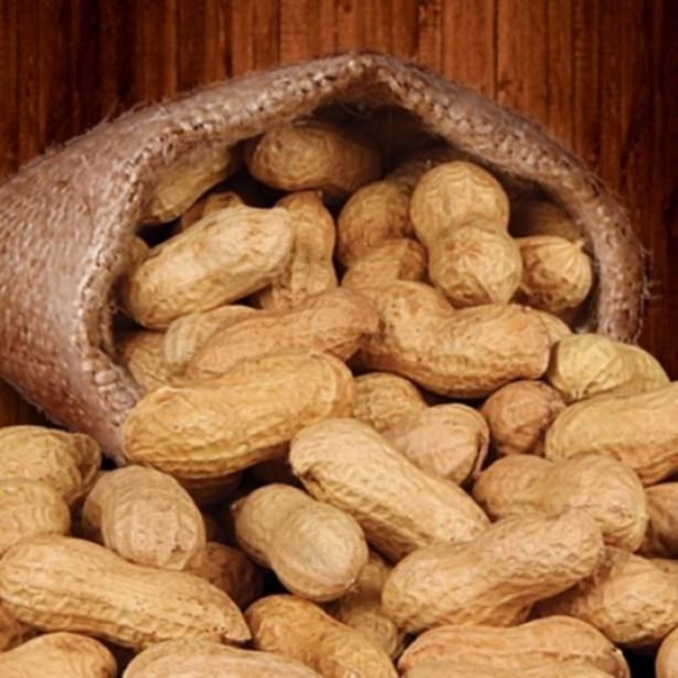 Foto - Yemeden önce bir kez daha düşünün!