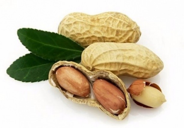 Foto - Yemeden önce bir kez daha düşünün!