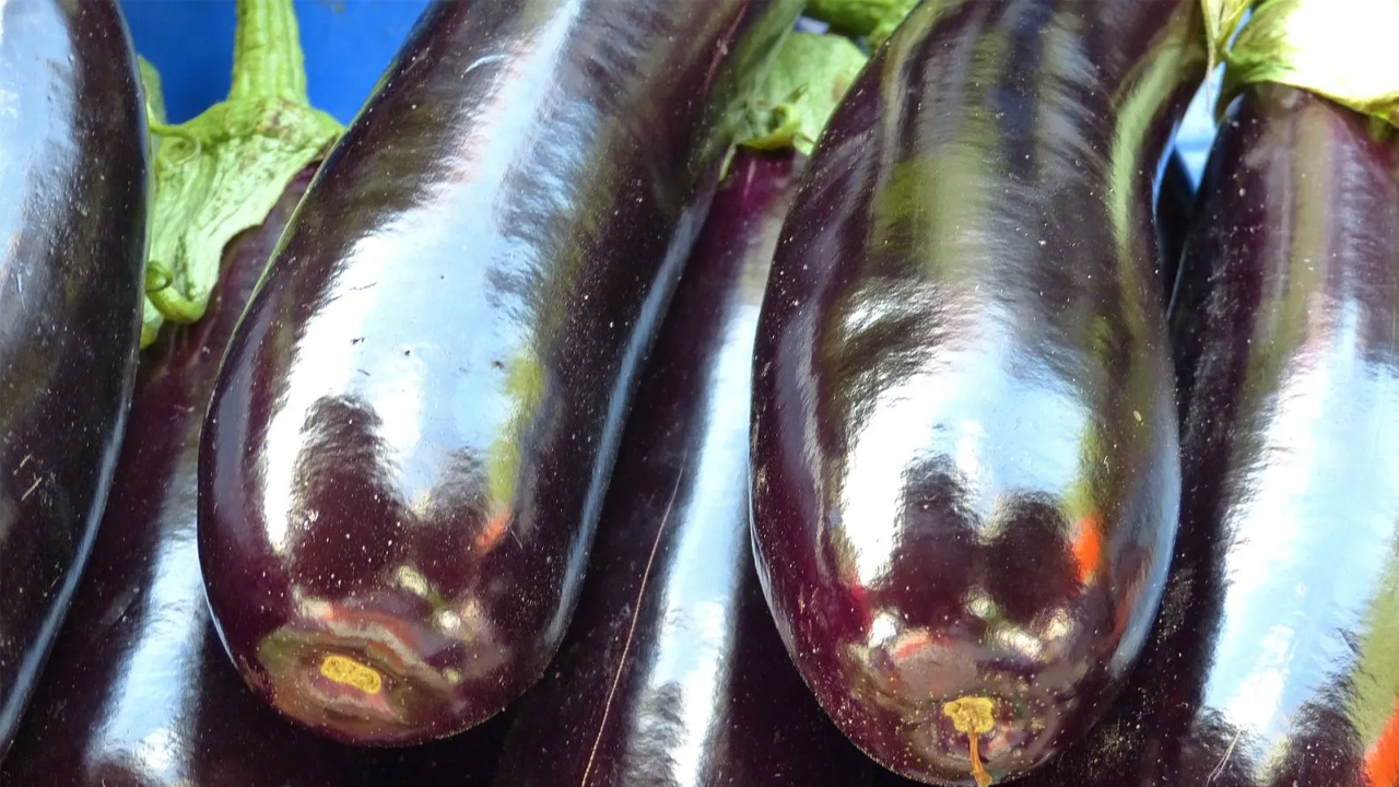 Foto - Yemeden önce buna dikkat edin! Patlıcan böyleyse ağzınıza sürmeden 2 kere düşünün