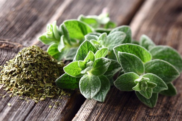 Foto - Yemeklerde sarımsak kullananlar dikkat! Kurutuyor...