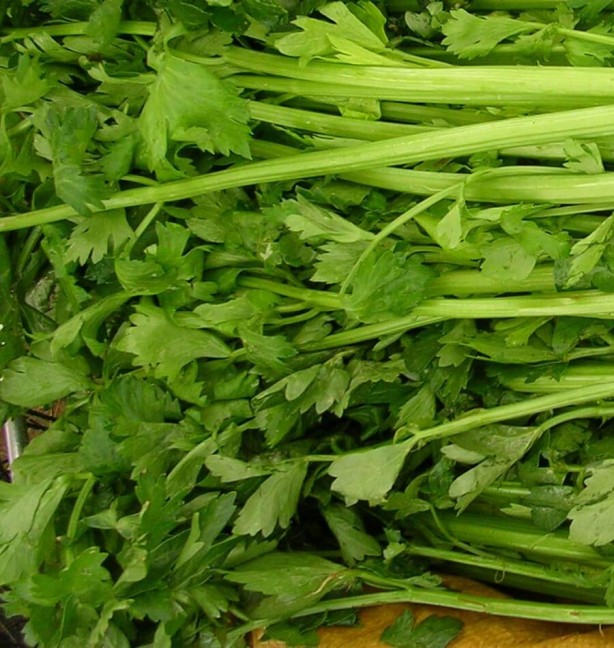 Foto - Yemeklere maydanoz ekleyenler dikkat! Eğer bunu yapmazsanız…