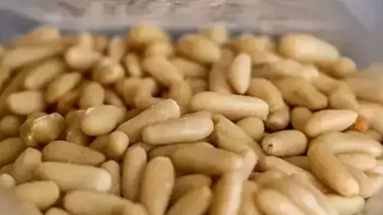 Foto - Yemeklerin içerisine bir avuç ekleyin! Yüzyıllardır yemeklerde kullanılıyor: Kolesterolü damardan kazıyor ve...