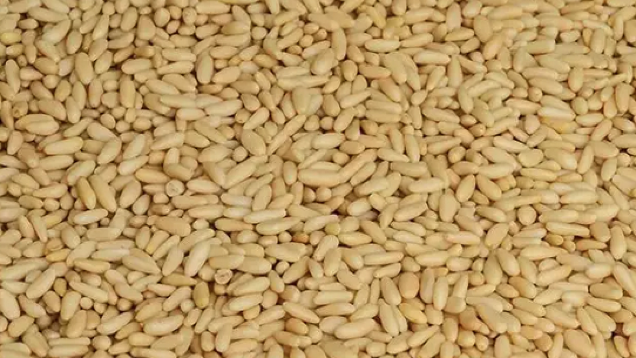 Yemeklerin içerisine bir avuç ekleyin! Yüzyıllardır yemeklerde kullanılıyor: Kolesterolü damardan kazıyor ve...