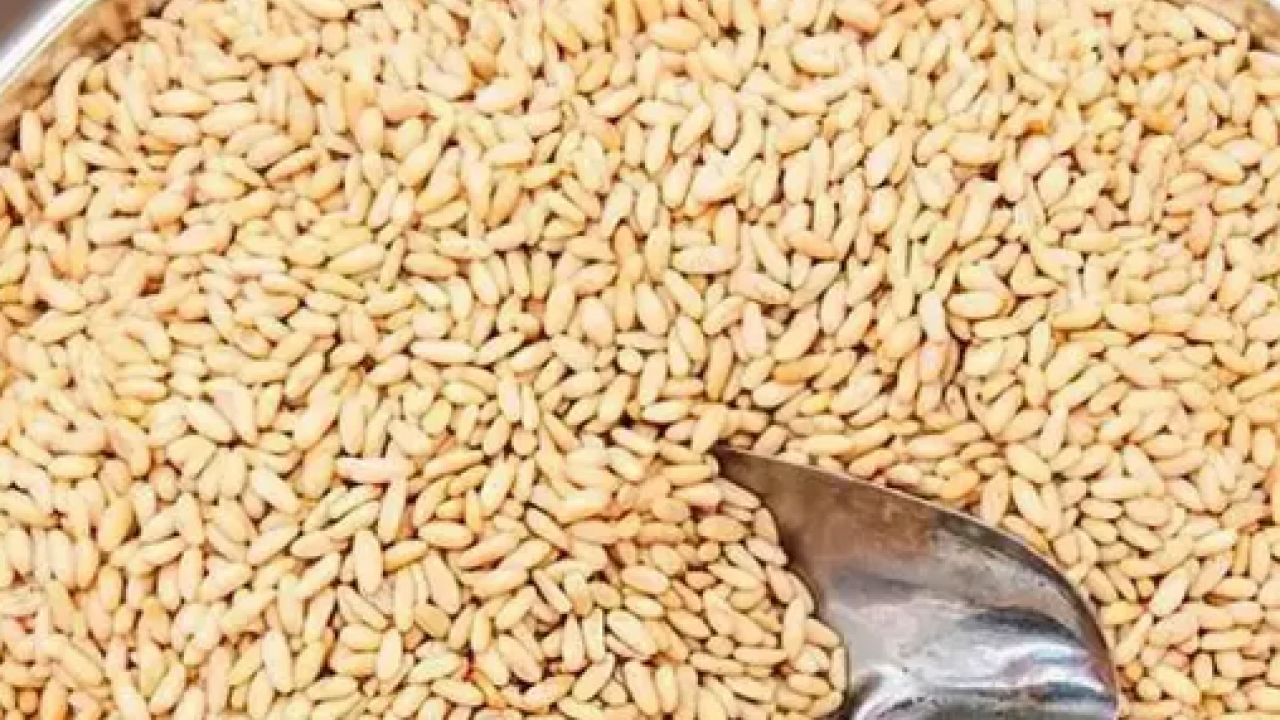 Foto - Yemeklerin içerisine bir avuç ekleyin! Yüzyıllardır yemeklerde kullanılıyor: Kolesterolü damardan kazıyor ve...