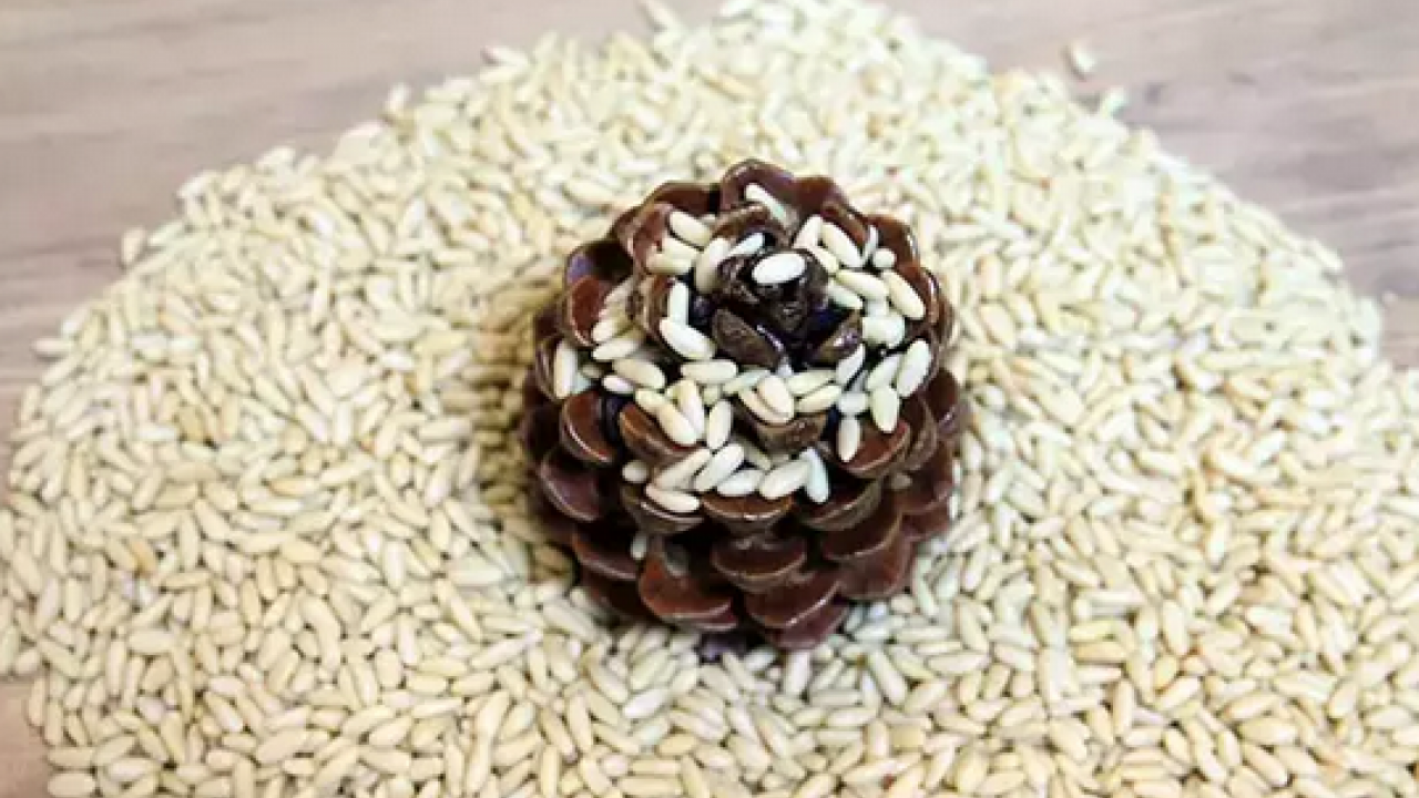 Foto - Yemeklerin içerisine bir avuç ekleyin! Yüzyıllardır yemeklerde kullanılıyor: Kolesterolü damardan kazıyor ve...