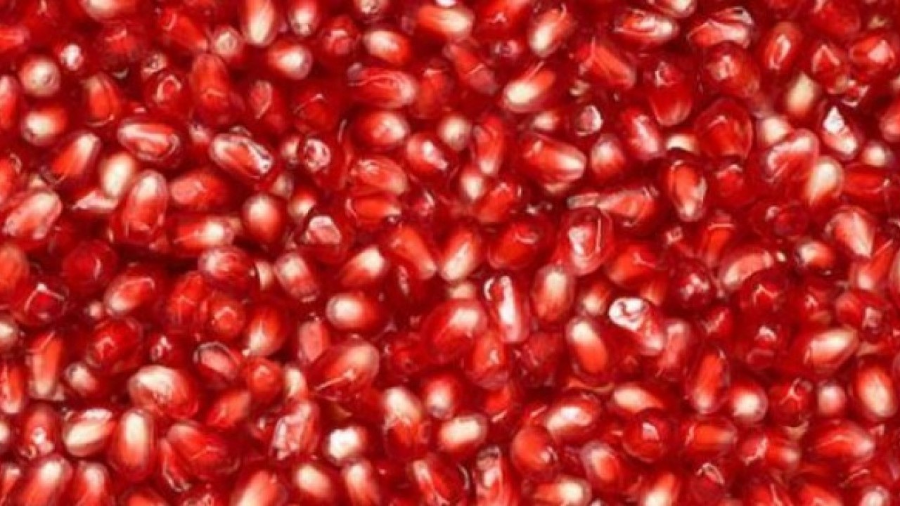 Foto - Yemekten sonra rahatlatıyor! Narı tuzlayıp yiyince bakın ne oluyor