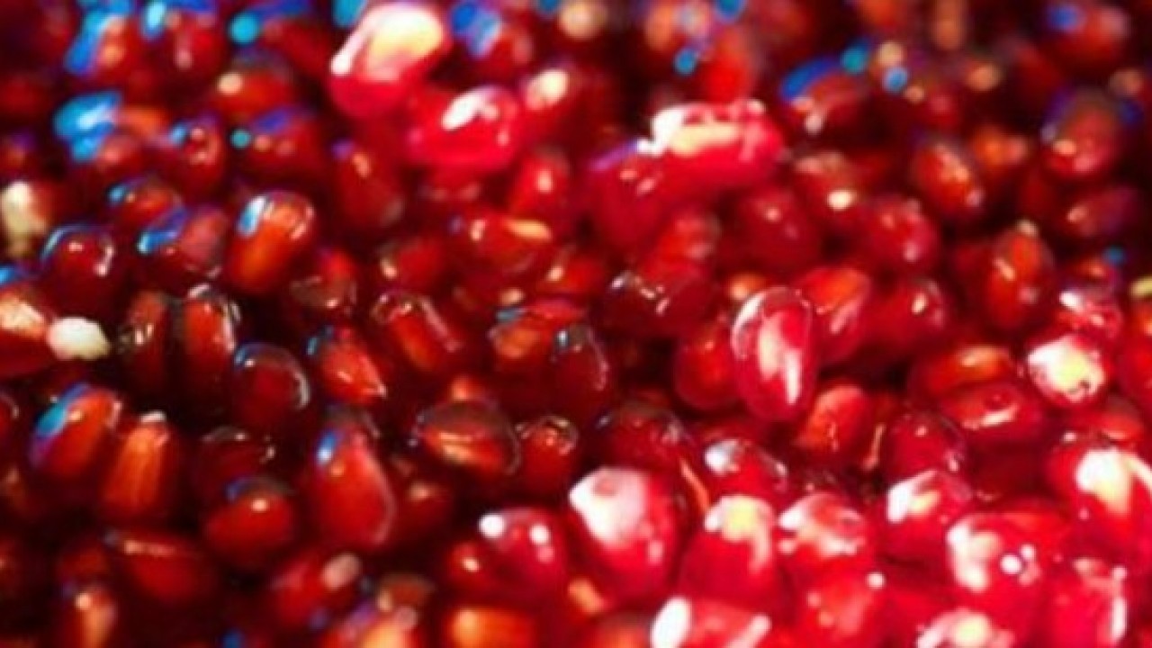 Foto - Yemekten sonra rahatlatıyor! Narı tuzlayıp yiyince bakın ne oluyor